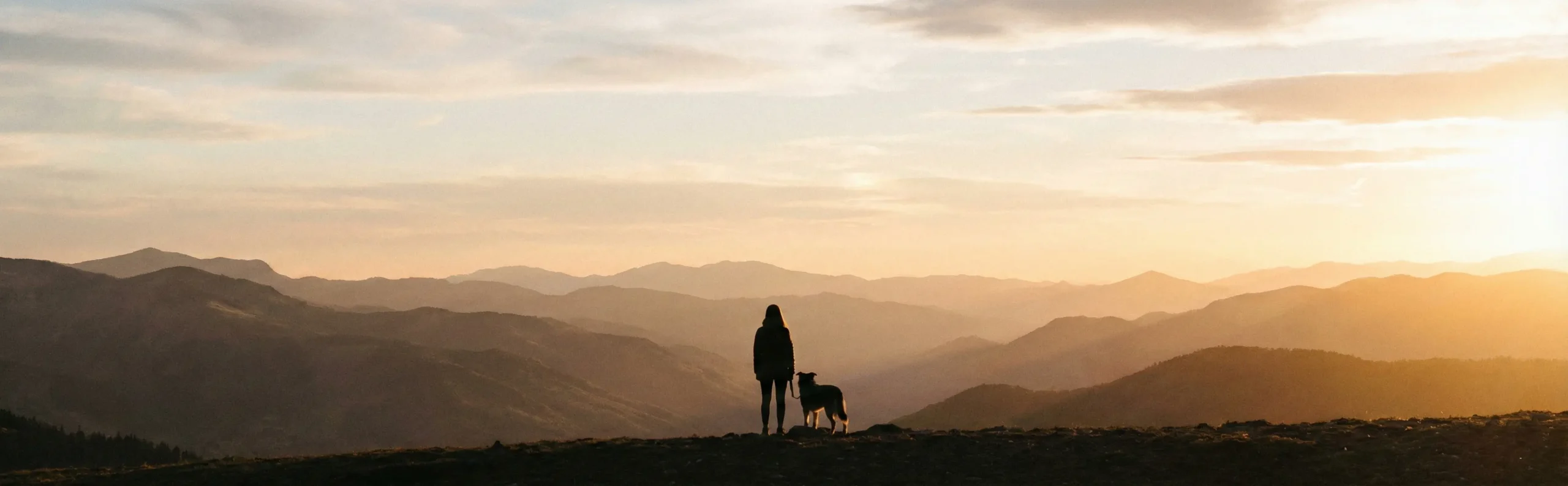 PetTrekGo All-Terrain Reflective Adventure Harness with Traffic Handle – No-Pull Hiking & Safety Vest