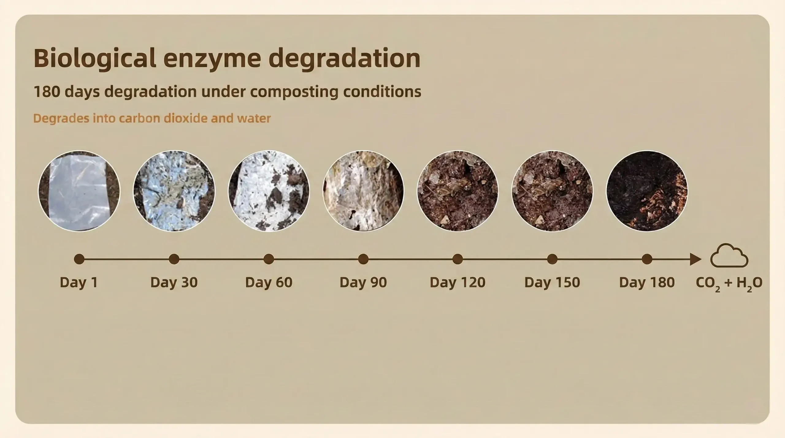 Diagram showing the 180-day biological enzyme degradation process of PetTrekGo waste bags into CO2 and water.