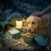 pettrekgo-dog-travel-water-bottle-glowing-green (1) PetTrekGo Night Explorer Camping Bundle: Illuminated 350ml Dog Water Bottle with LED Light & 800ml Collapsible Food Bowl with Lid – Portable Outdoor Travel Kit (Hook Green)