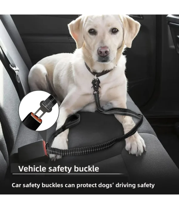 PetTrekGo Multi-Way Hands-Free Bungee Dog Leash with Dual Handles – Shock Absorbing Lead for Running & Hiking