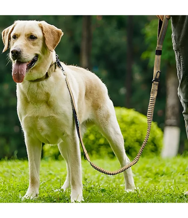 PetTrekGo Multi-Way Hands-Free Bungee Dog Leash with Dual Handles – Shock Absorbing Lead for Running & Hiking