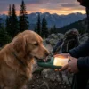 pettrekgo-illuminated-2-in-1-dog-water-bottle (18) PetTrekGo Illuminated 350ml Dog Water Bottle – Portable Leak-Proof Pet Dispenser with Integrated LED Night Light for Night Walks & Camping