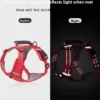 Reflective harness for day and night