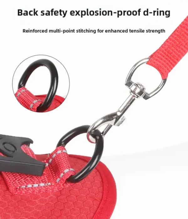 Durable harness with secure attachment ring