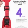 Durable, reflective dog leash features highlighted.