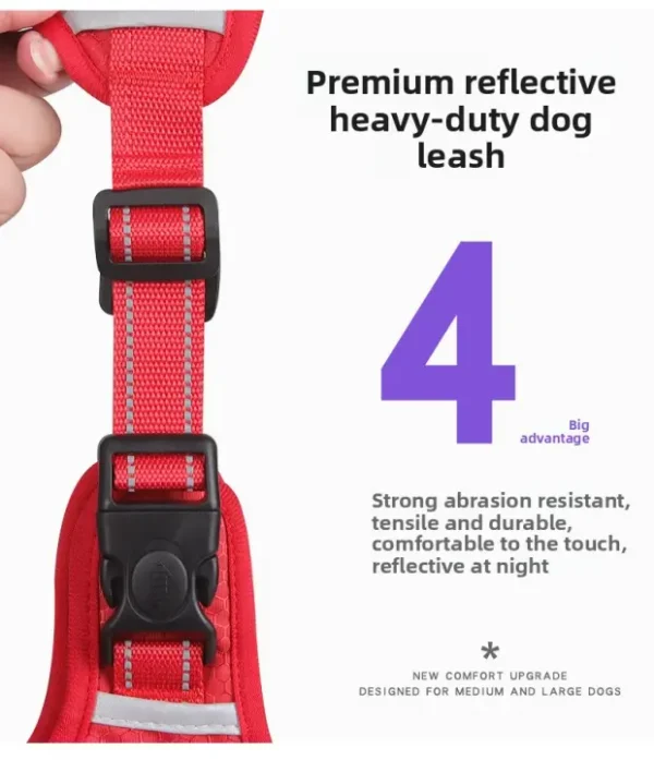 Durable, reflective dog leash features highlighted.