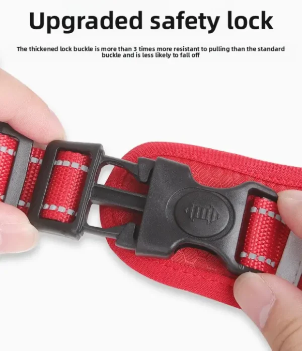 Durable harness with upgraded safety lock